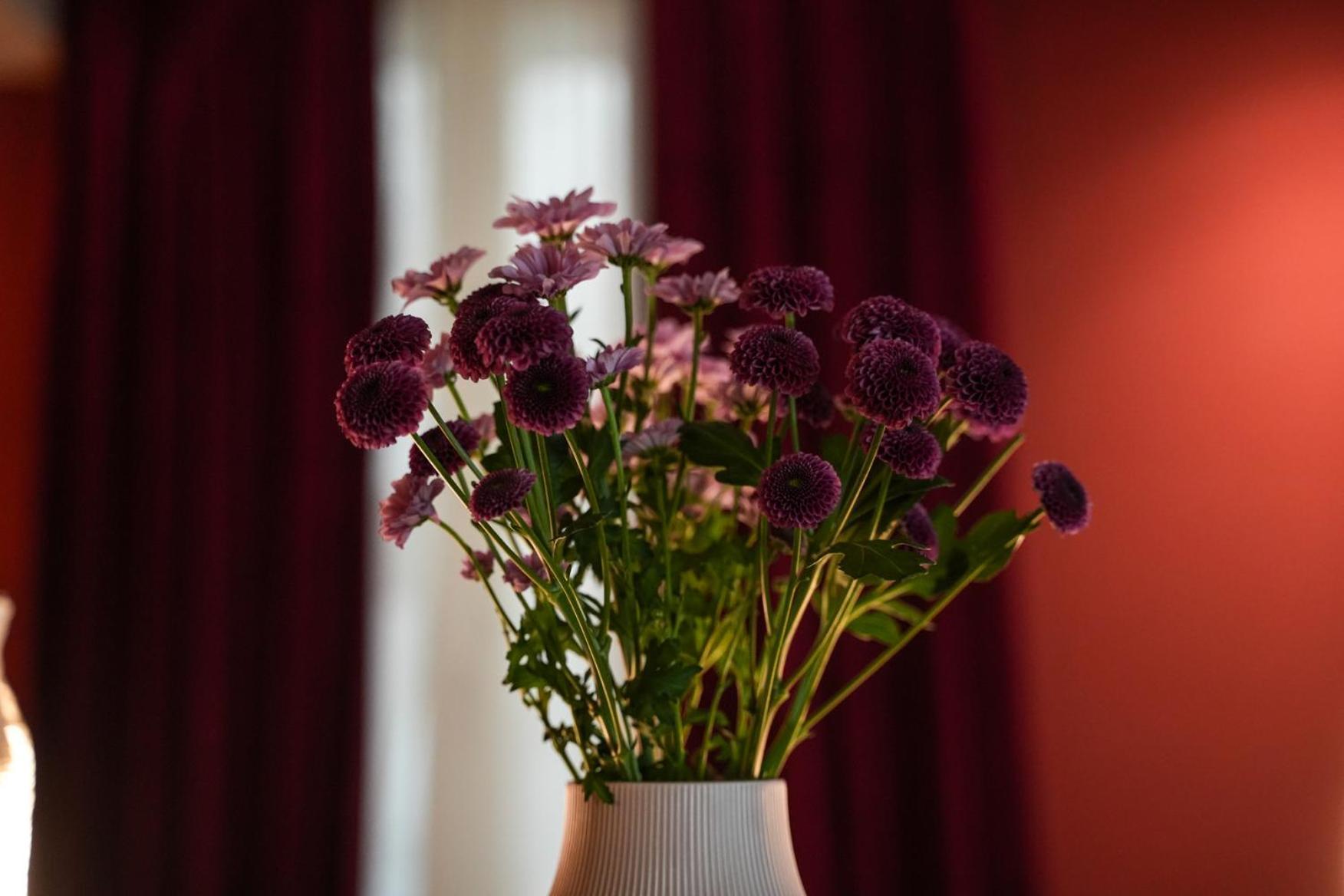 Sant'Eufemia 30 Bed & Breakfast Modena Bagian luar foto
